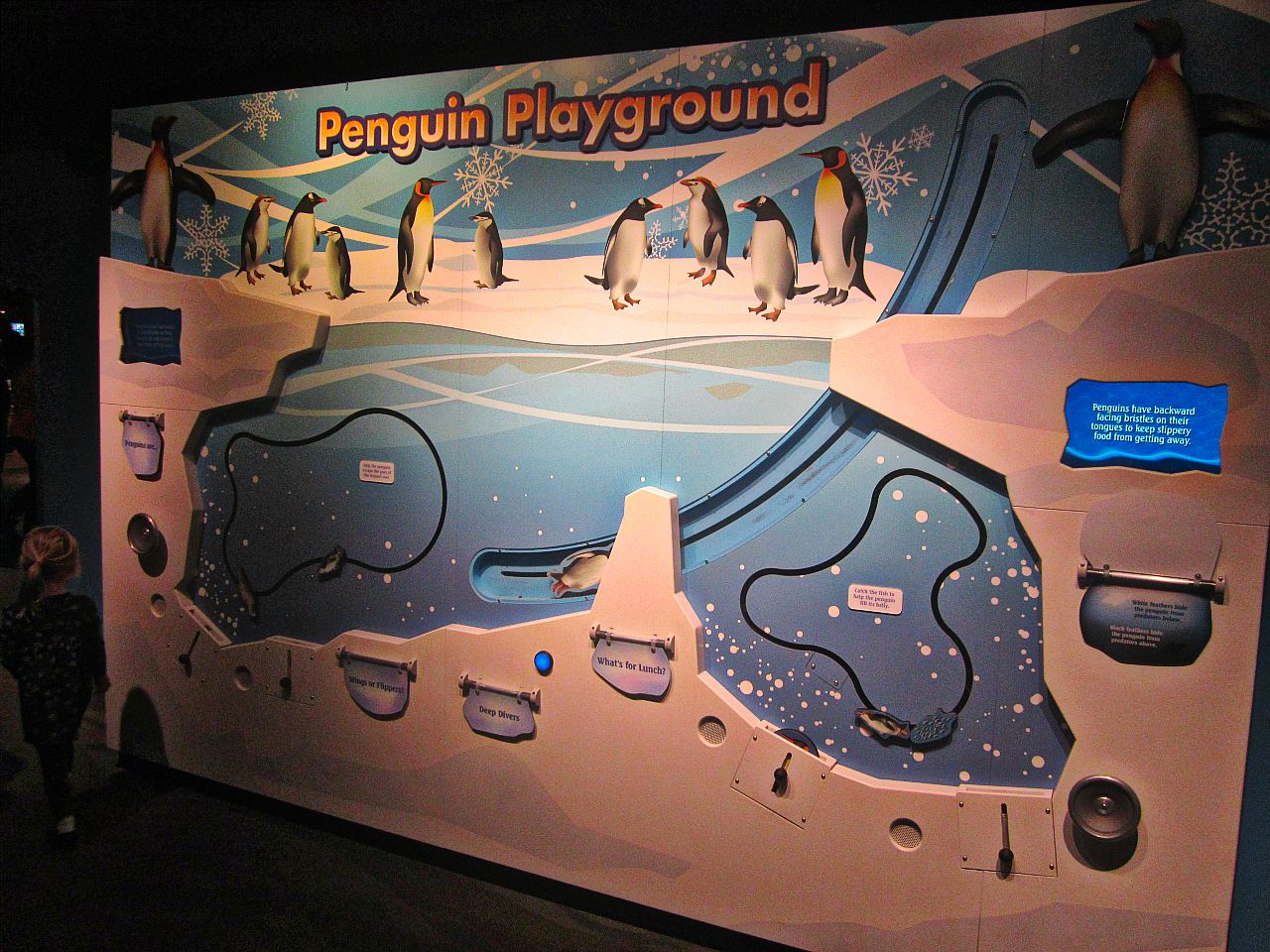 Mar. 2013-Penguin Palooza - Penguin Playground