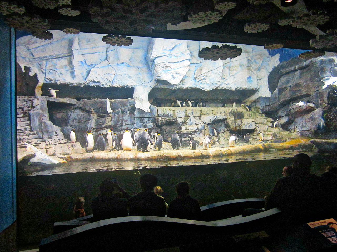 Mar. 2013-Penguin Palooza