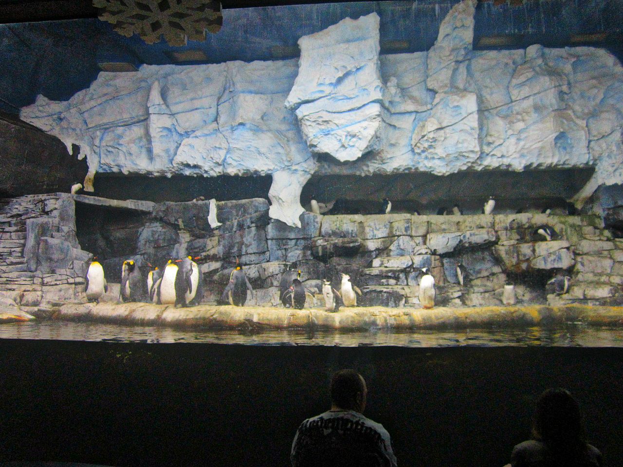 Mar. 2013-Penguin Palooza