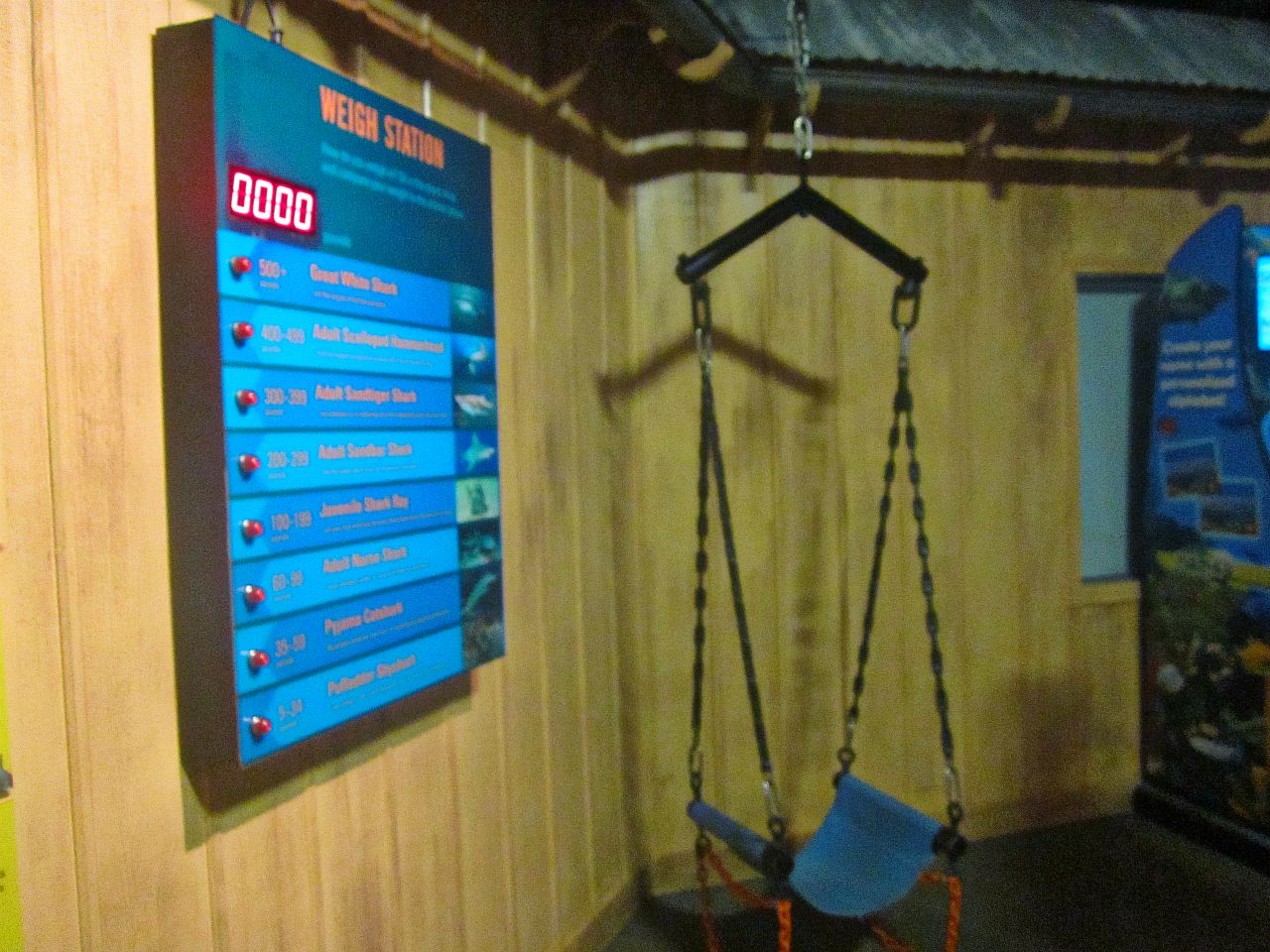 Mar. 2013-Shark Central - Shark/Human Weight Station