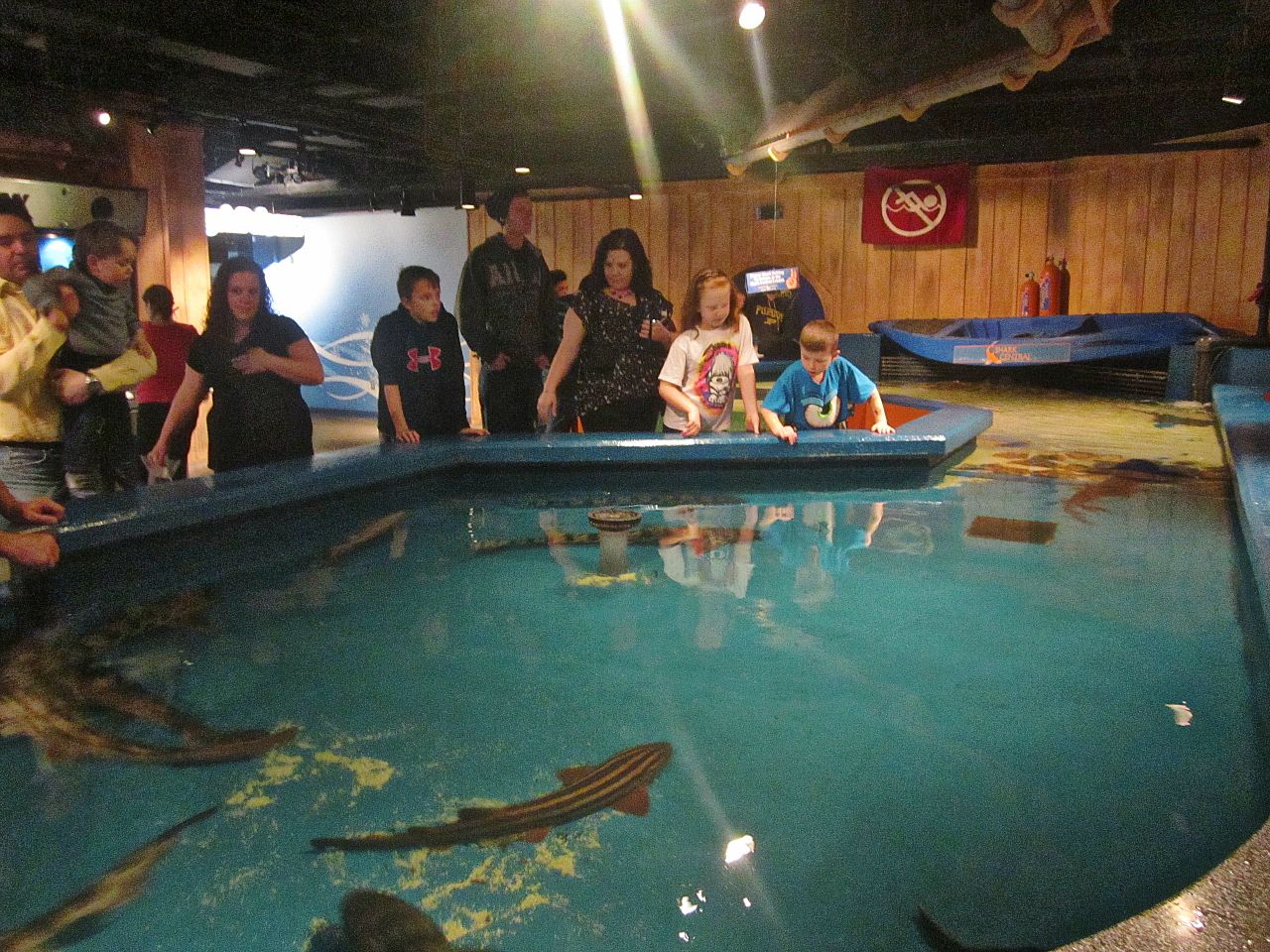 Mar. 2013-Shark Central