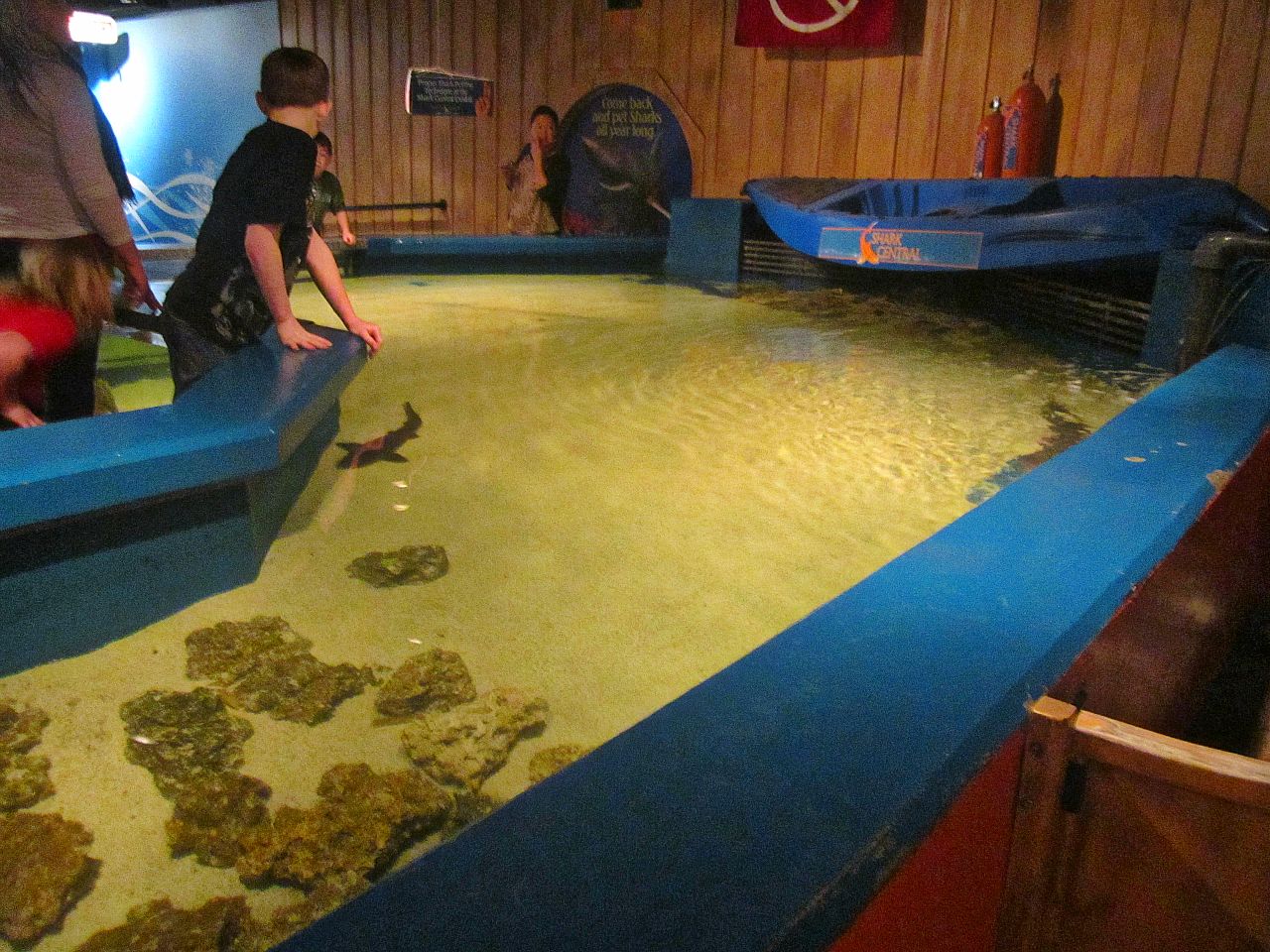 Mar. 2013-Shark Central