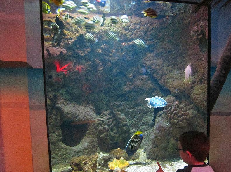 Mar. 2013-Shore Gallery - Flooded Crater