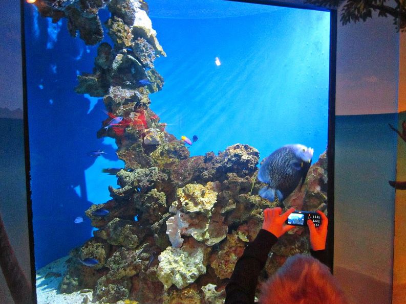 Mar. 2013-Shore Gallery - Grass Bed