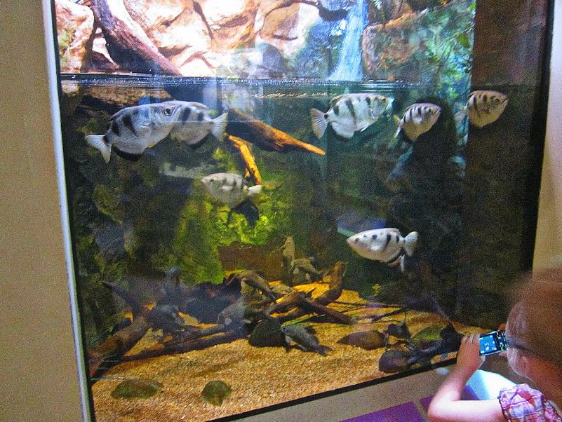 Mar. 2013-Shore Gallery - River Delta