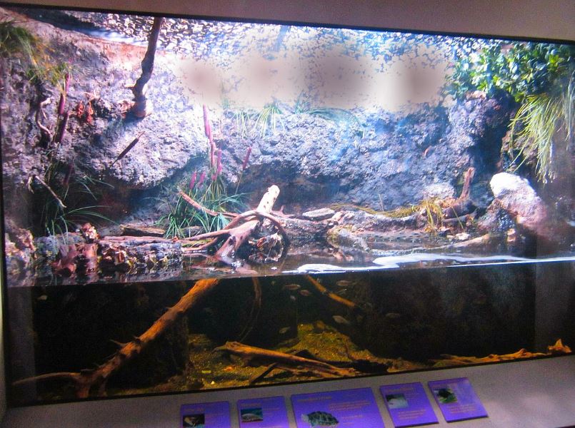 Mar. 2013-Shore Gallery - Salt Marsh