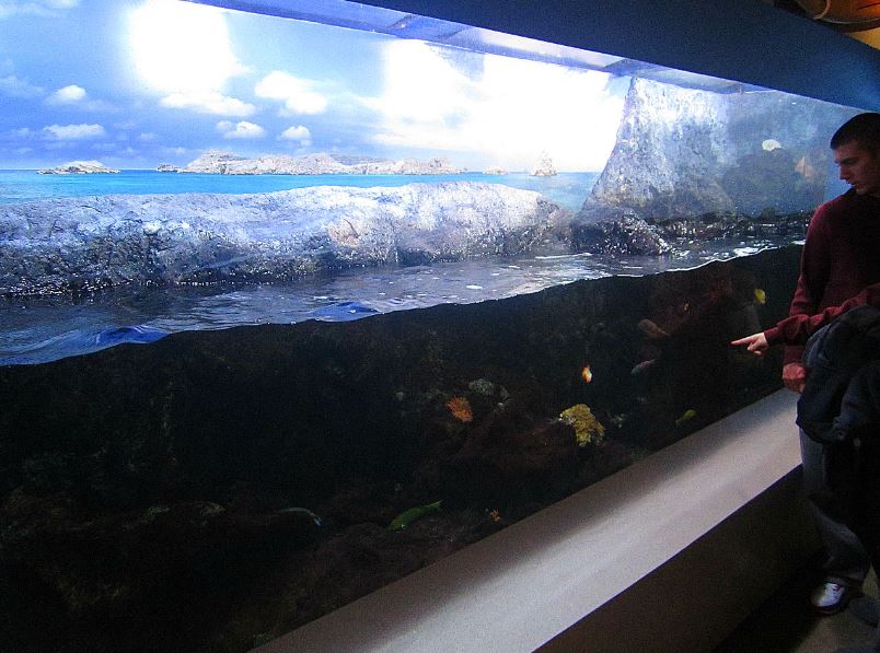 Mar. 2013-Shore Gallery - Surge Zone