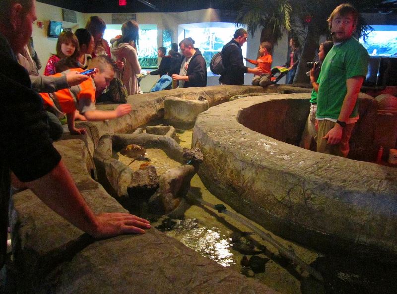 Mar. 2013-Shore Gallery - Touch Pool