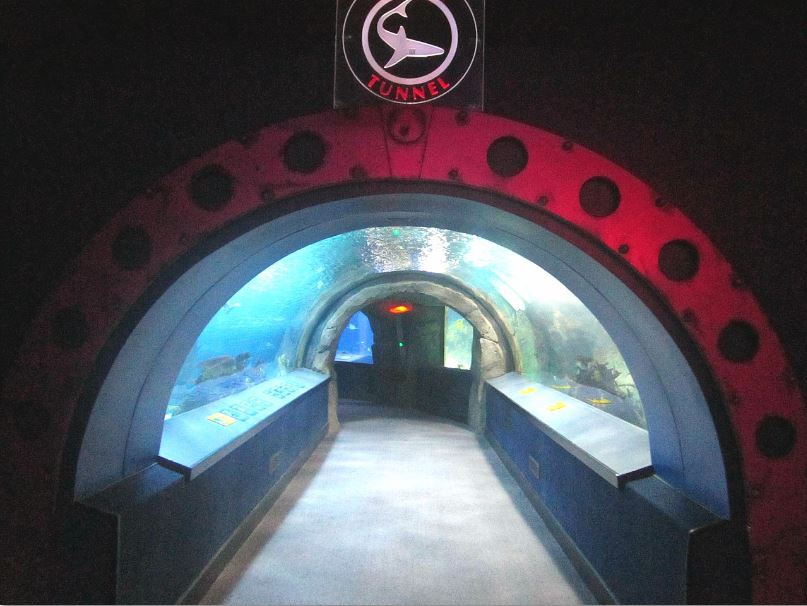 Mar. 2013-Surrounded by Sharks - Entrance