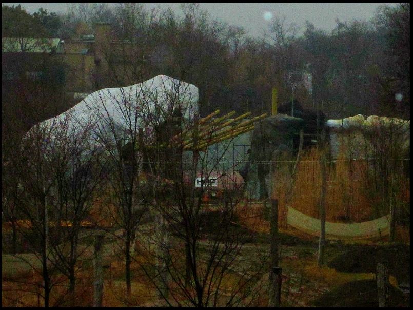 Mar. 2013-White Lion Exhibit Construction