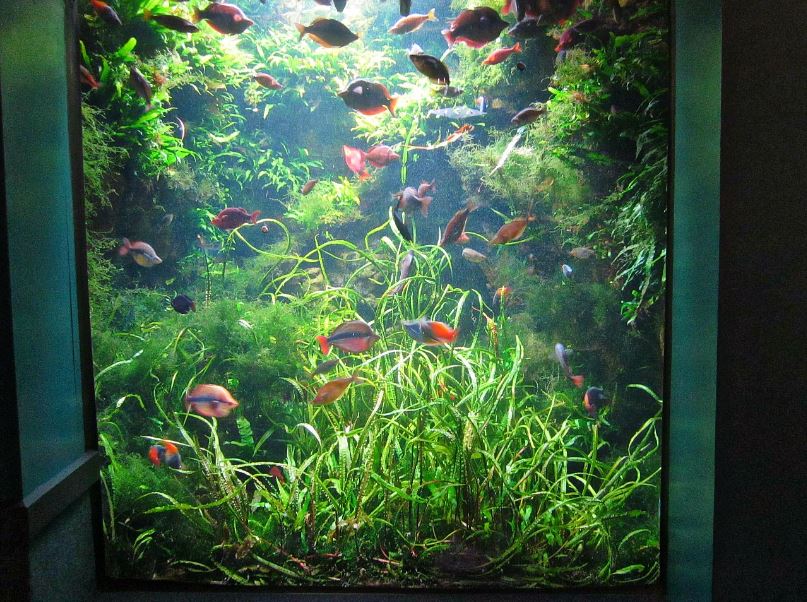 Mar. 2013-Worlds Rivers - Australia