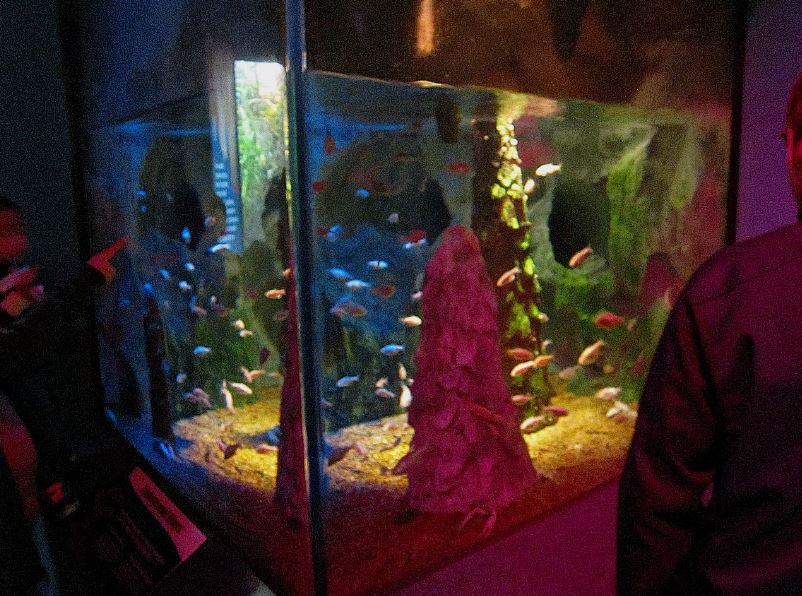 Mar. 2013-Worlds Rivers - Caves