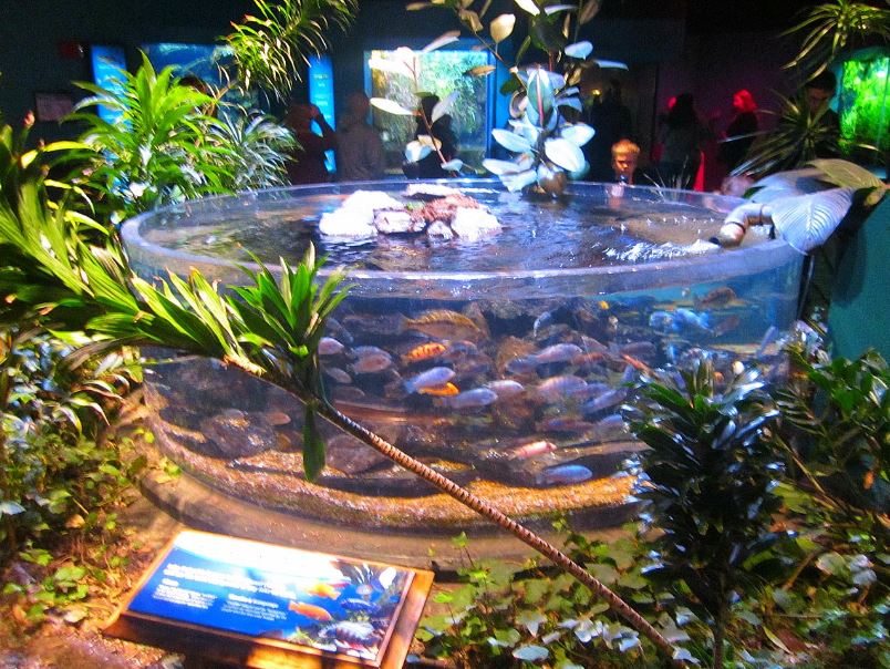 Mar. 2013-Worlds Rivers - Lake Malawi