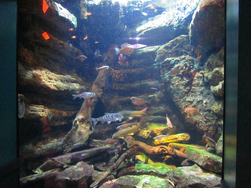 Mar. 2013-Worlds Rivers - Licking River