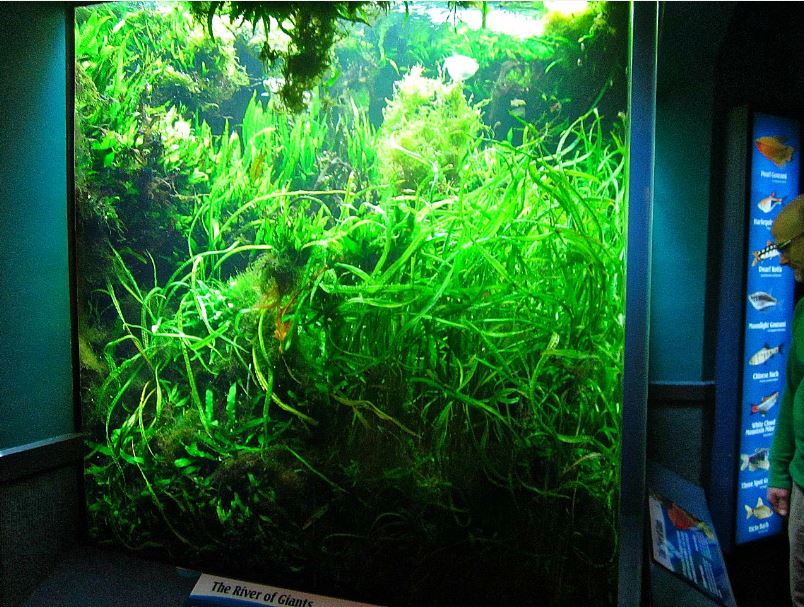 Mar. 2013-Worlds Rivers - Mekong River