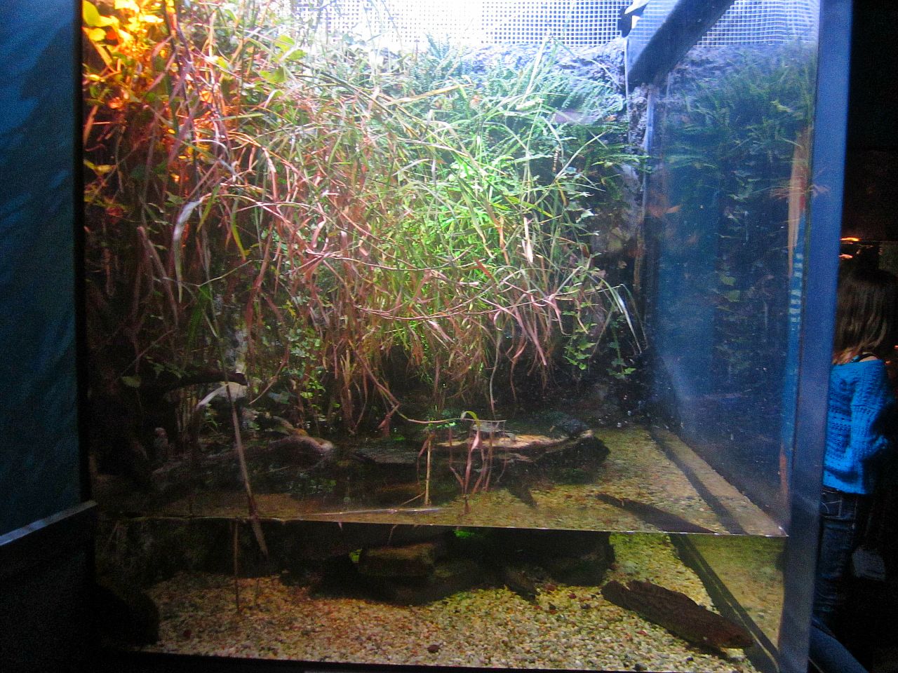 Mar. 2013-Worlds Rivers - The Moving Mississippi