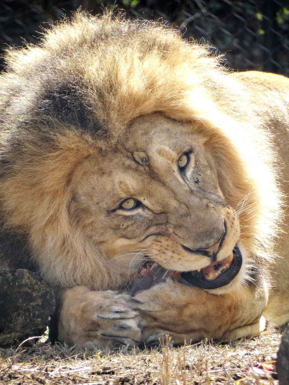 Mar. 2016 - Africa - John