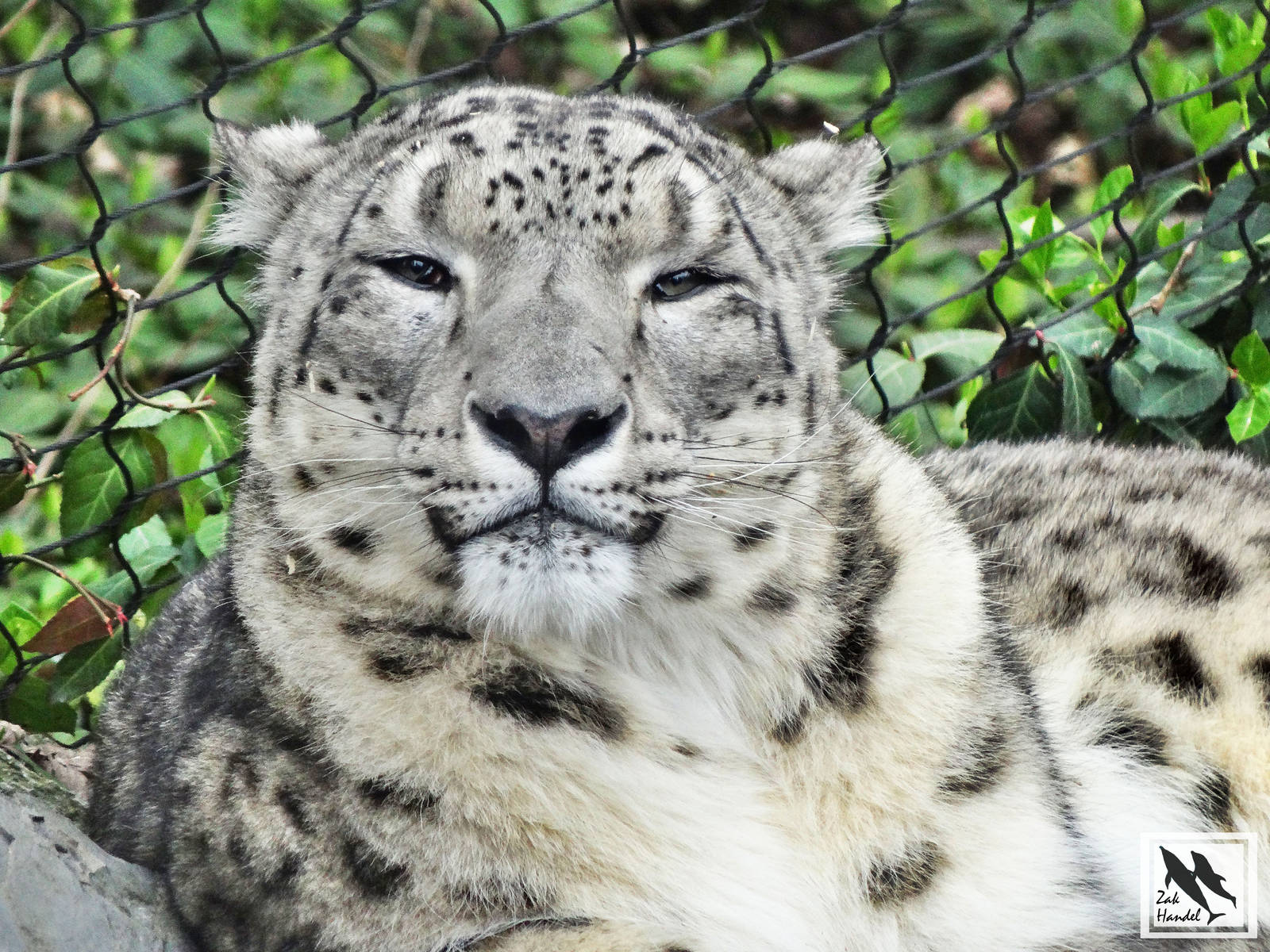 Mar. 2016 - Cat Canyon - Renji