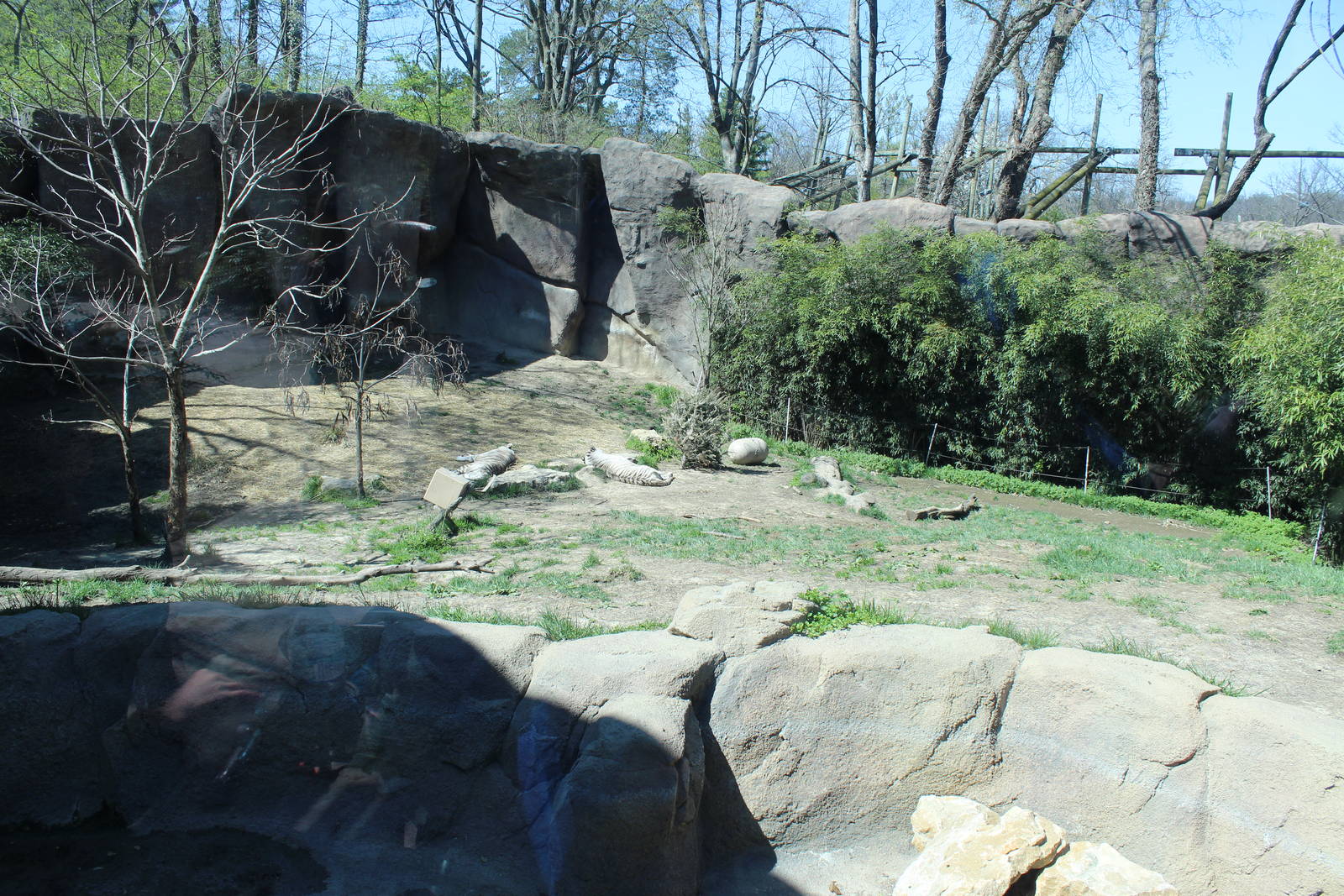 Mar. 2016 - Cat Canyon - Second Tiger Exhibit