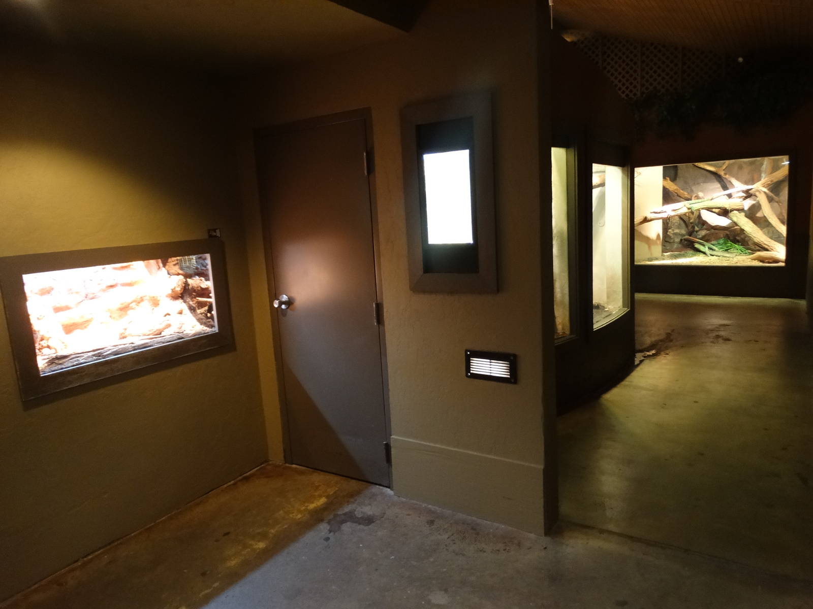 Mar. 2016 - Dragons! (Wall removed)