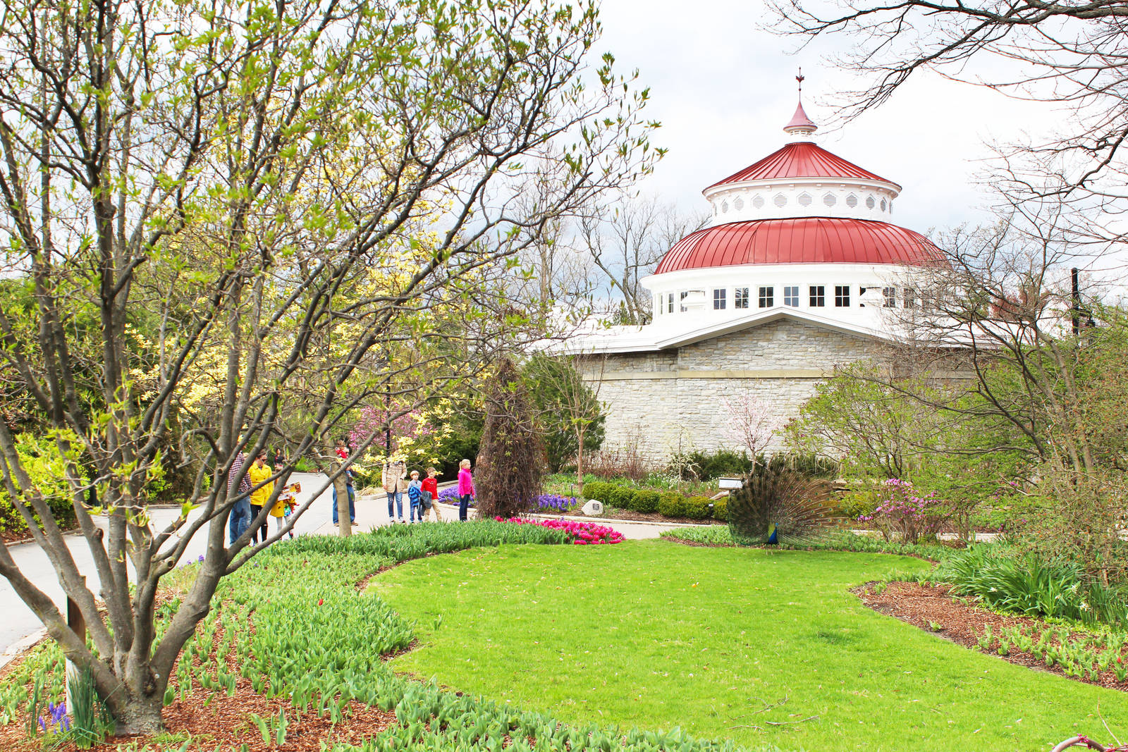 Mar. 2016 - Reptile House