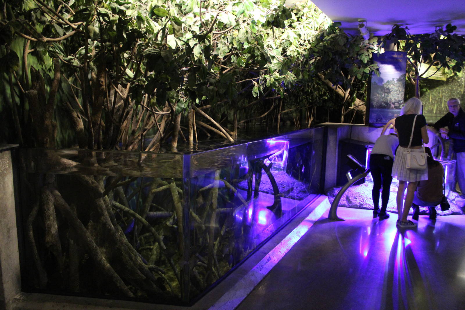 Mar. 2016 - Wild Reef - Mangrove Tank (8 Species)