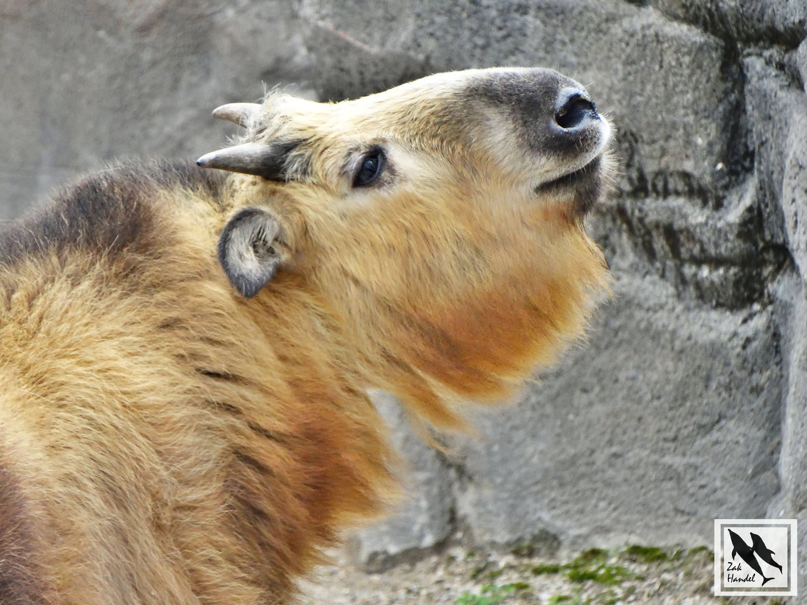 Mar. 2016 - Wildlife Canyon - Dale