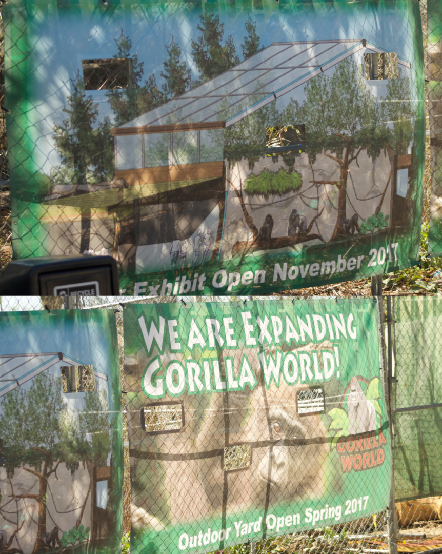 Mar. 2017 - Gorilla World - New Signage - Opening Dates After Renovations