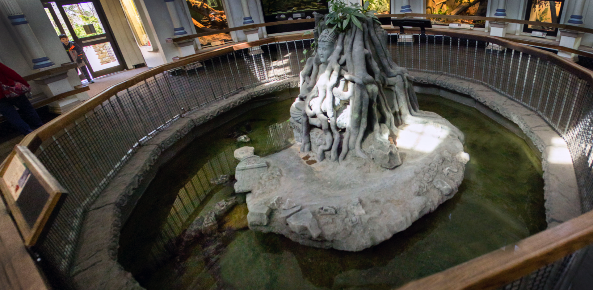 Mar. 2017 - Reptile House - Chinese Alligator Exhibit