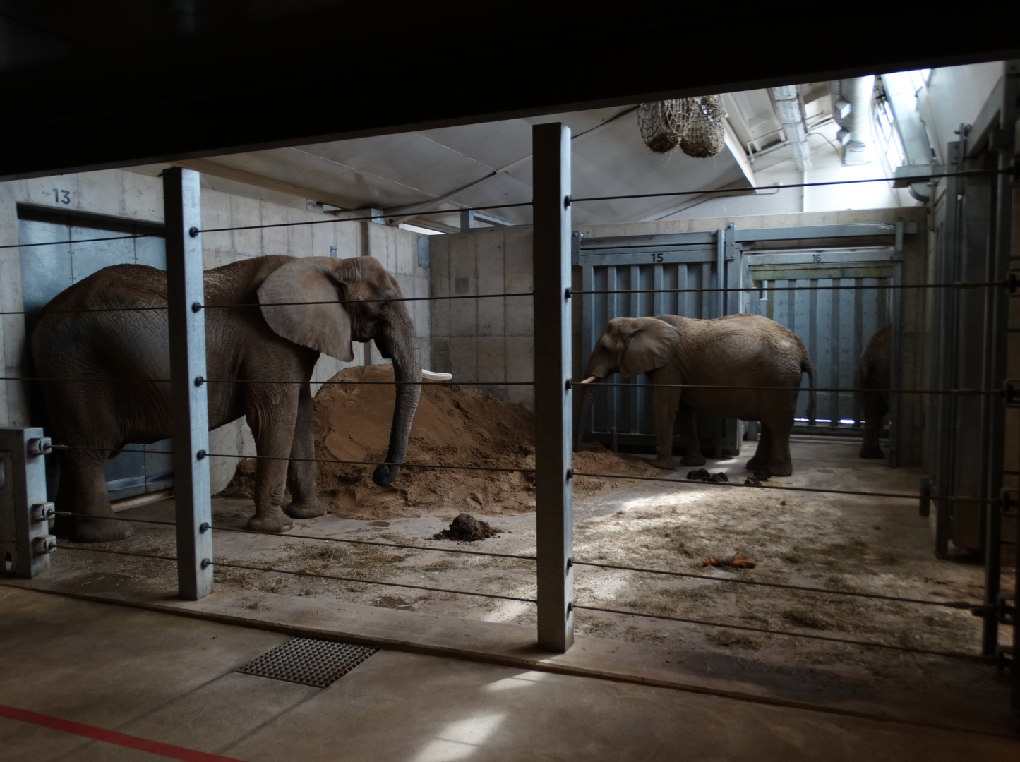 Mar. 2018 - African Elephant Crossing - Care Center - Indoor Elephant Exhibits (1 of 4)