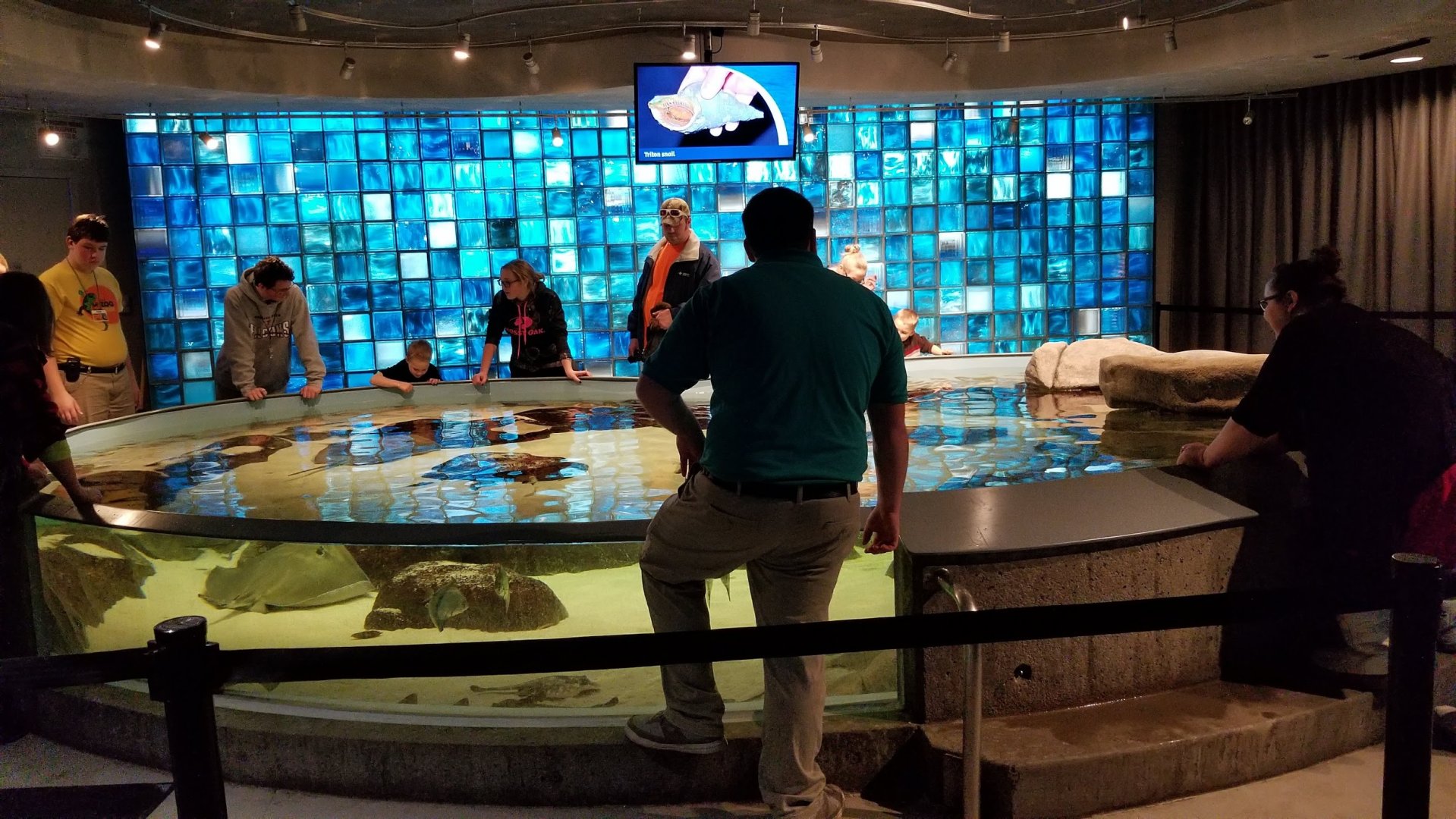 Mar. 2018 - Aquarium - Touch Tank