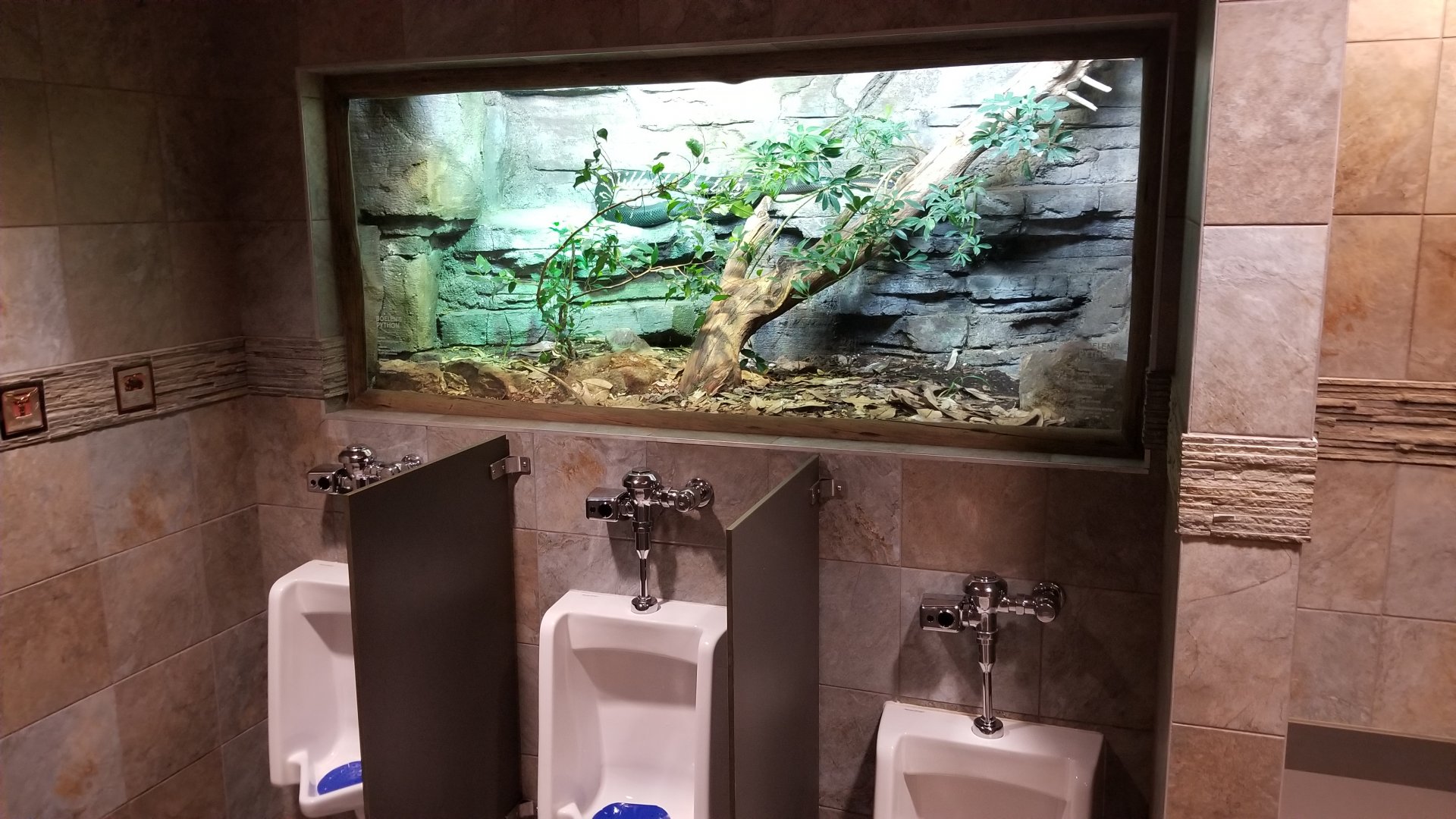 Mar. 2018 - Entry Village Bathroom - Boelen's Python Exhibit