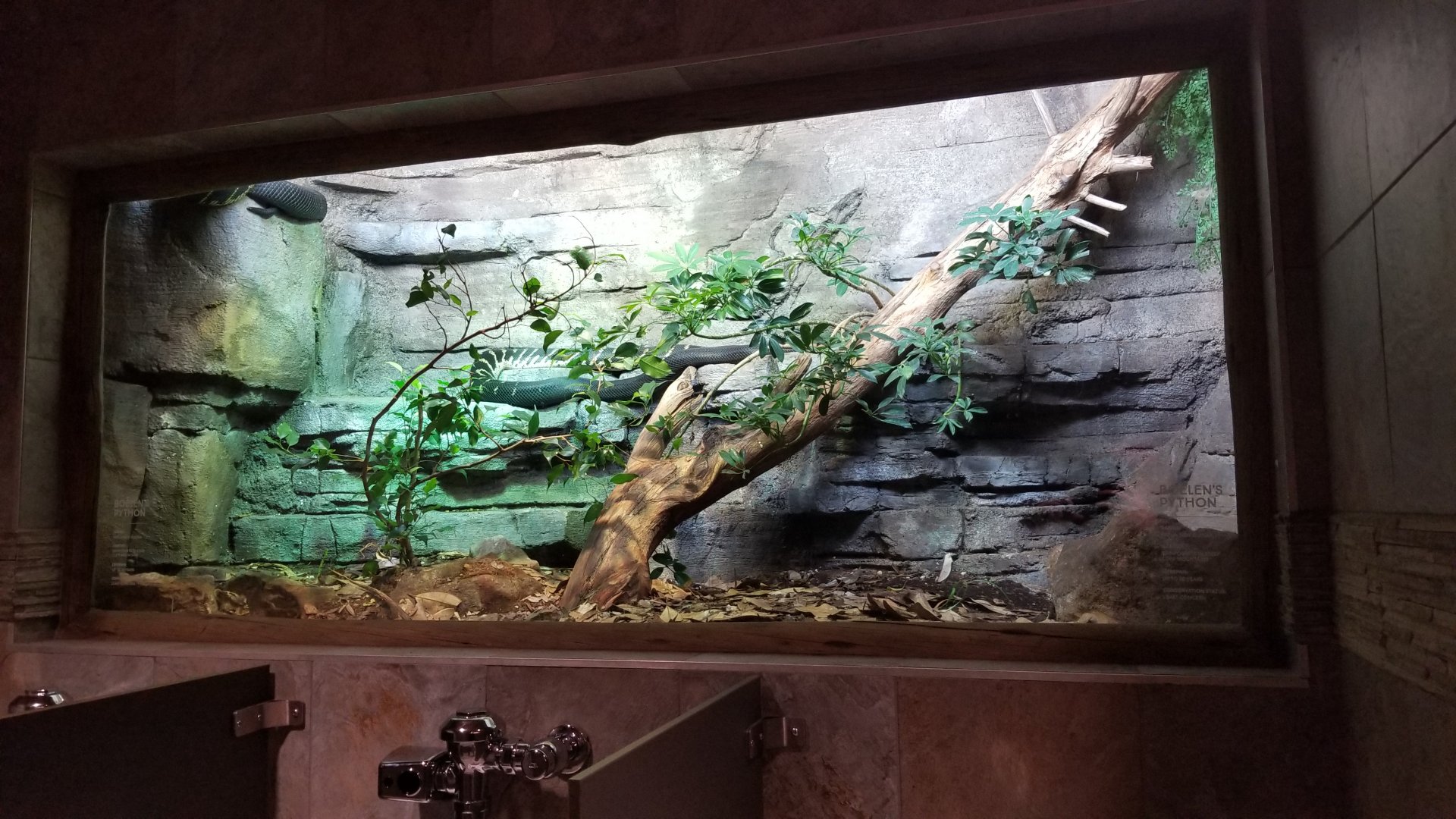 Mar. 2018 - Entry Village Bathroom - Boelen's Python Exhibit