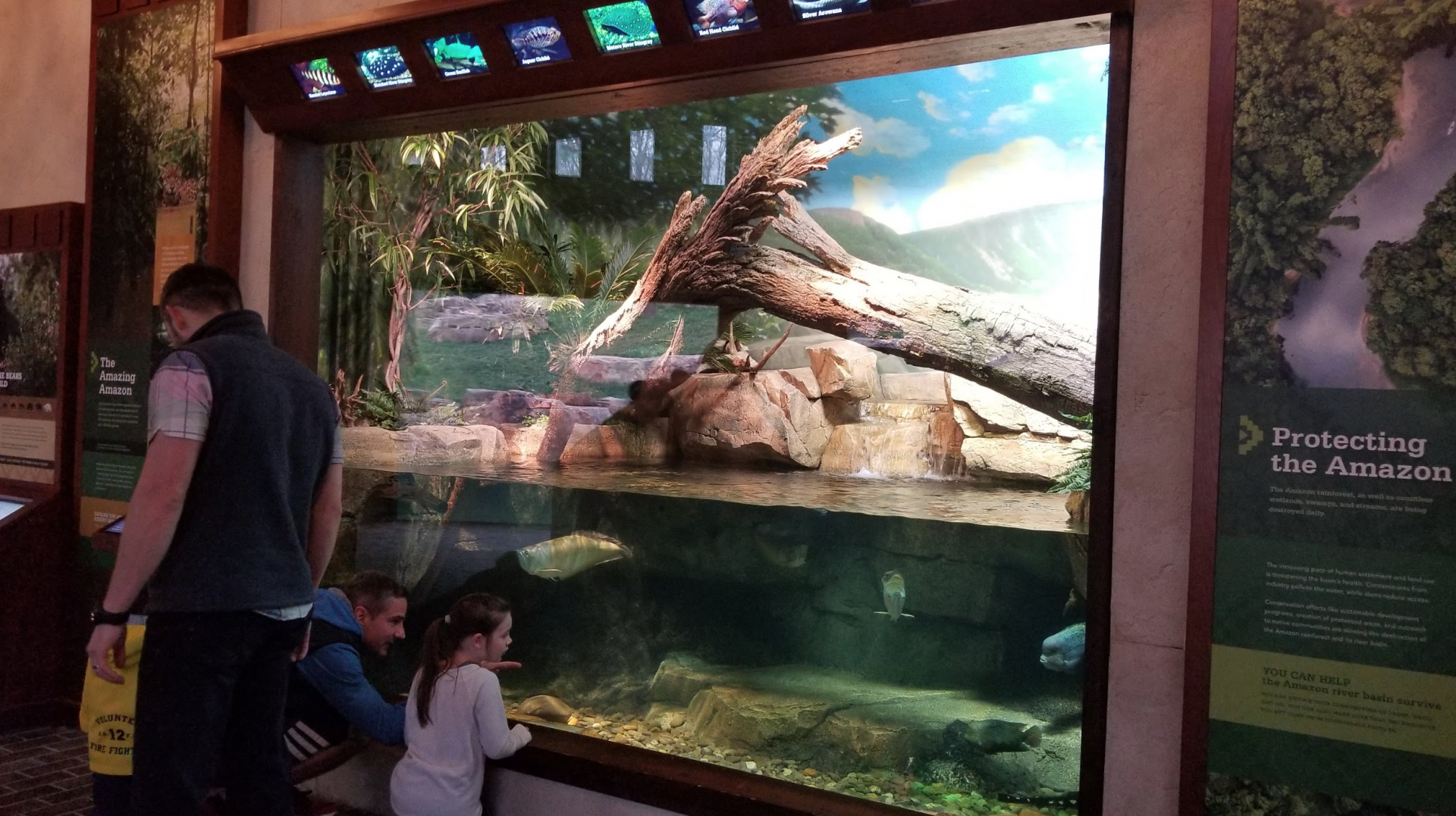 Mar. 2018 - New 2018! Expedition Peru - Amazon Tank (8 Species)