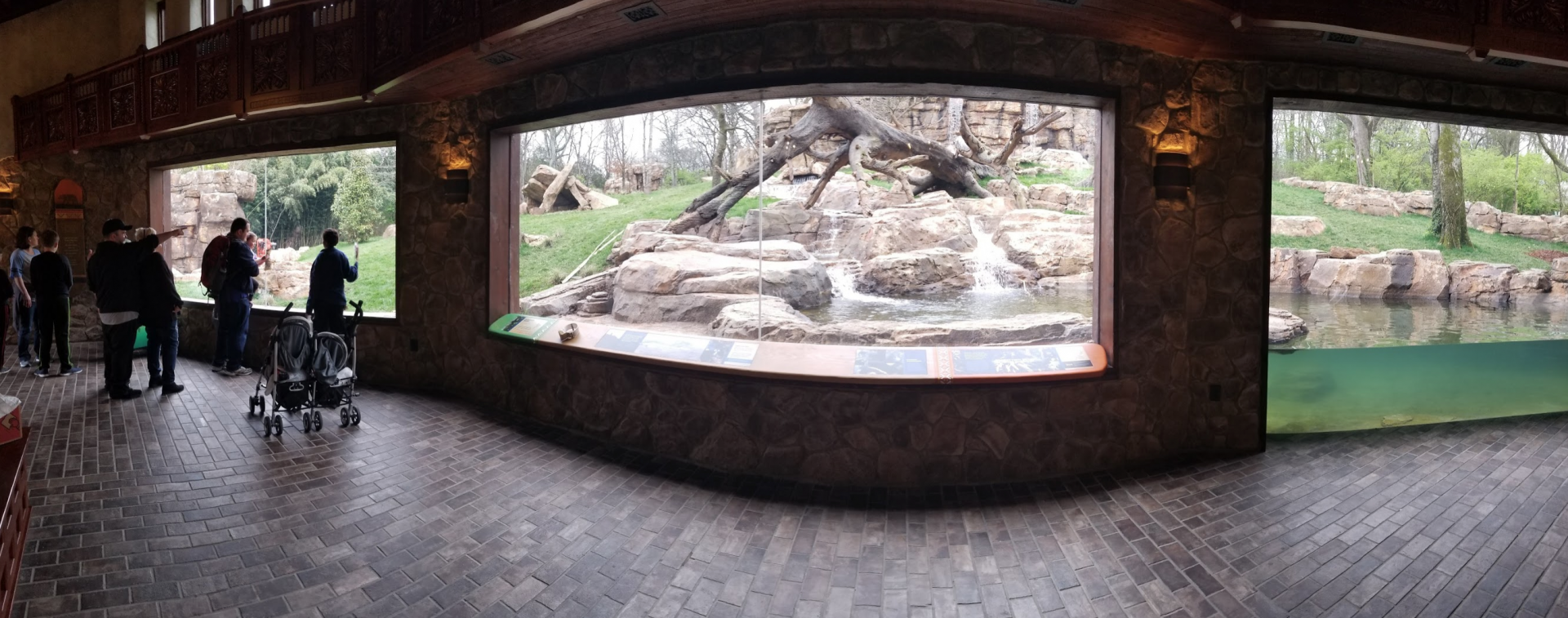 Mar. 2018 - New 2018! Expedition Peru - Andean Bear Exhibit Viewing Panorama