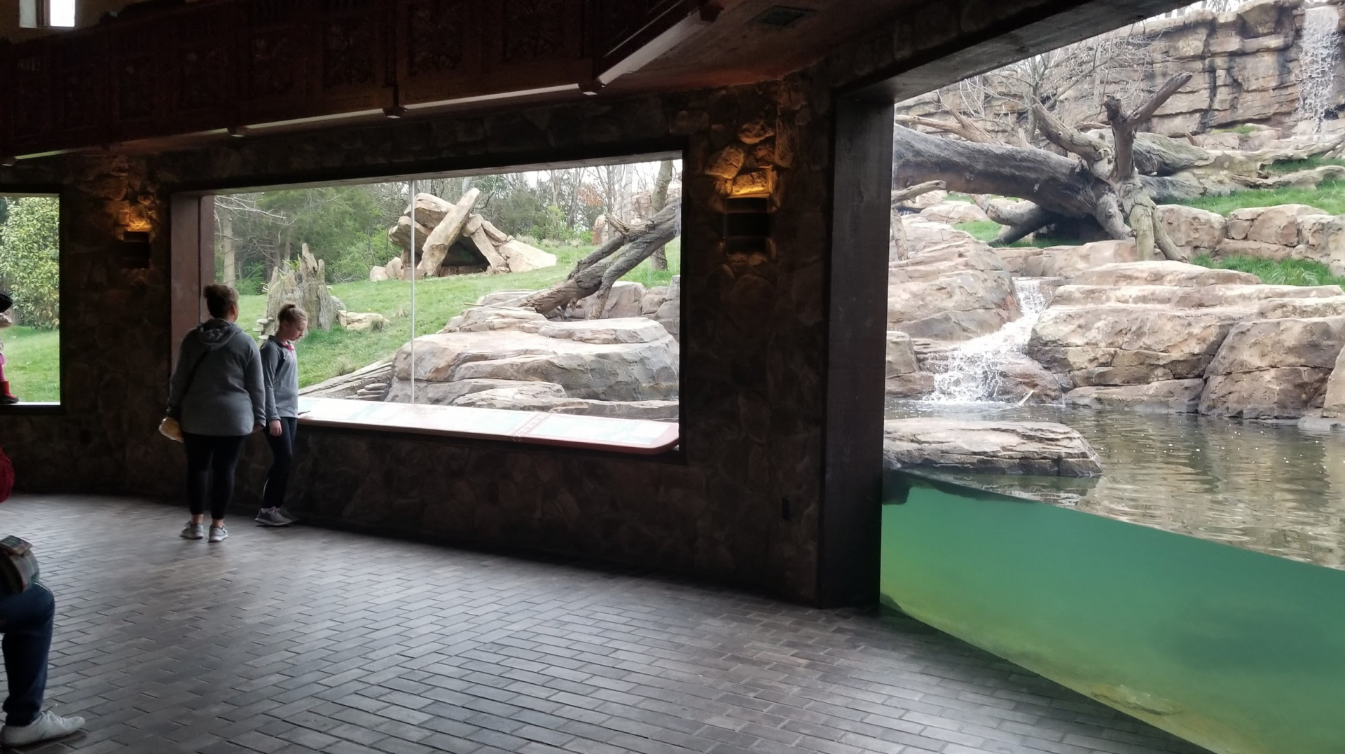 Mar. 2018 - New 2018! Expedition Peru - Andean Bear Exhibit Viewing