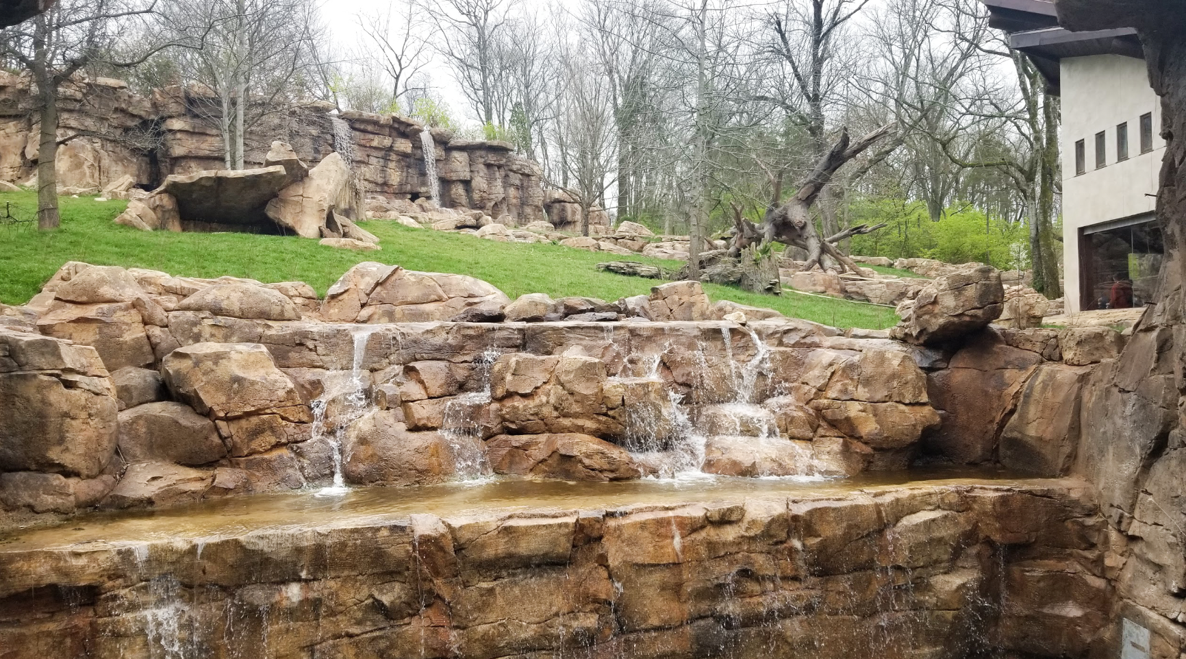 Mar. 2018 - New 2018! Expedition Peru - Massive Andean Bear Exhibit