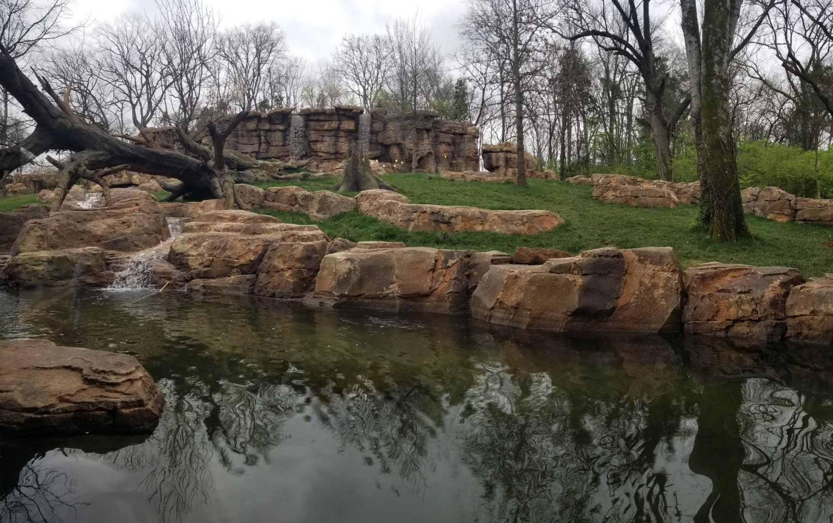 Mar. 2018 - New 2018! Expedition Peru - Massive Andean Bear Exhibit