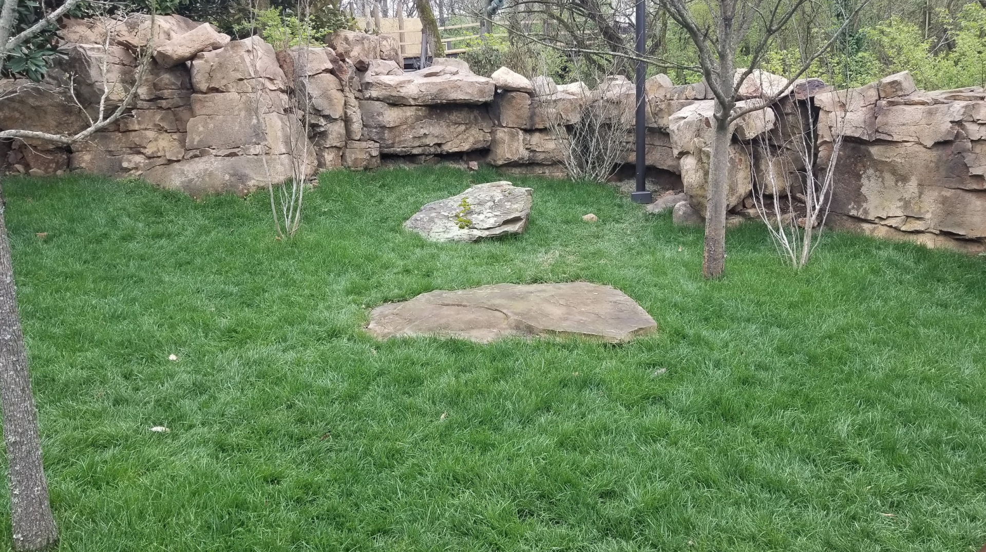 Mar. 2018 - New 2018! Expedition Peru - Southern Pudu Exhibit (Right Half)