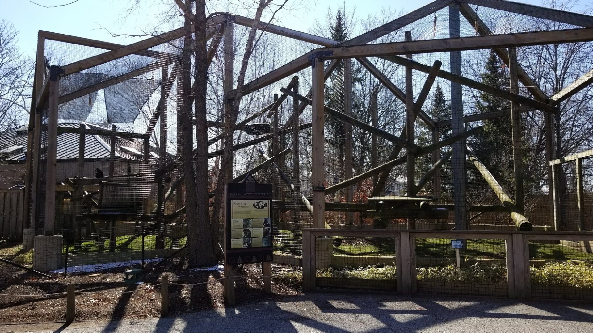 Mar. 2018 - Primate Forest - 1 of 3 Rotating Exhibits