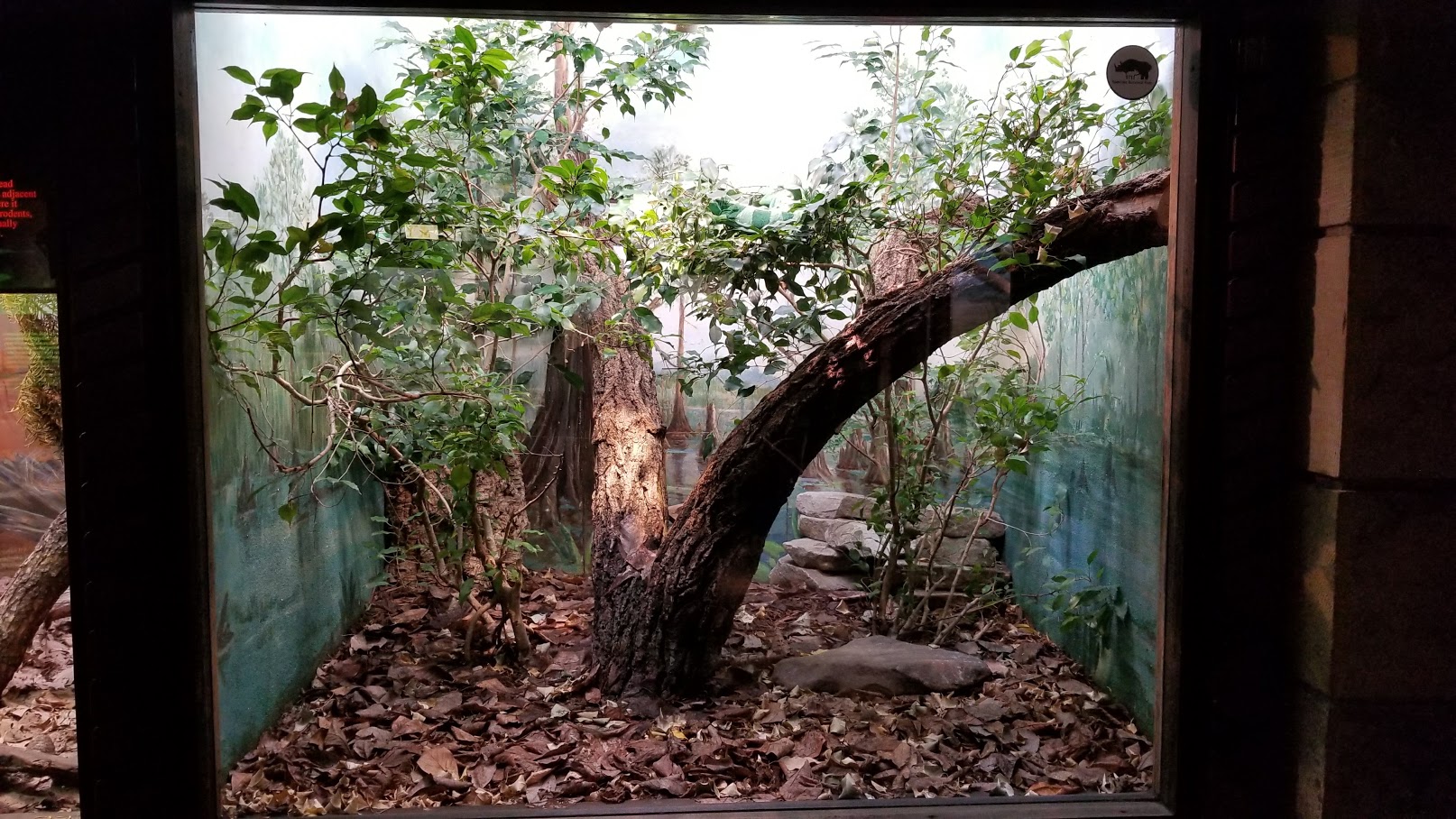 Mar. 2018 - Reptile House - Fiji Banded Iguana Exhibit