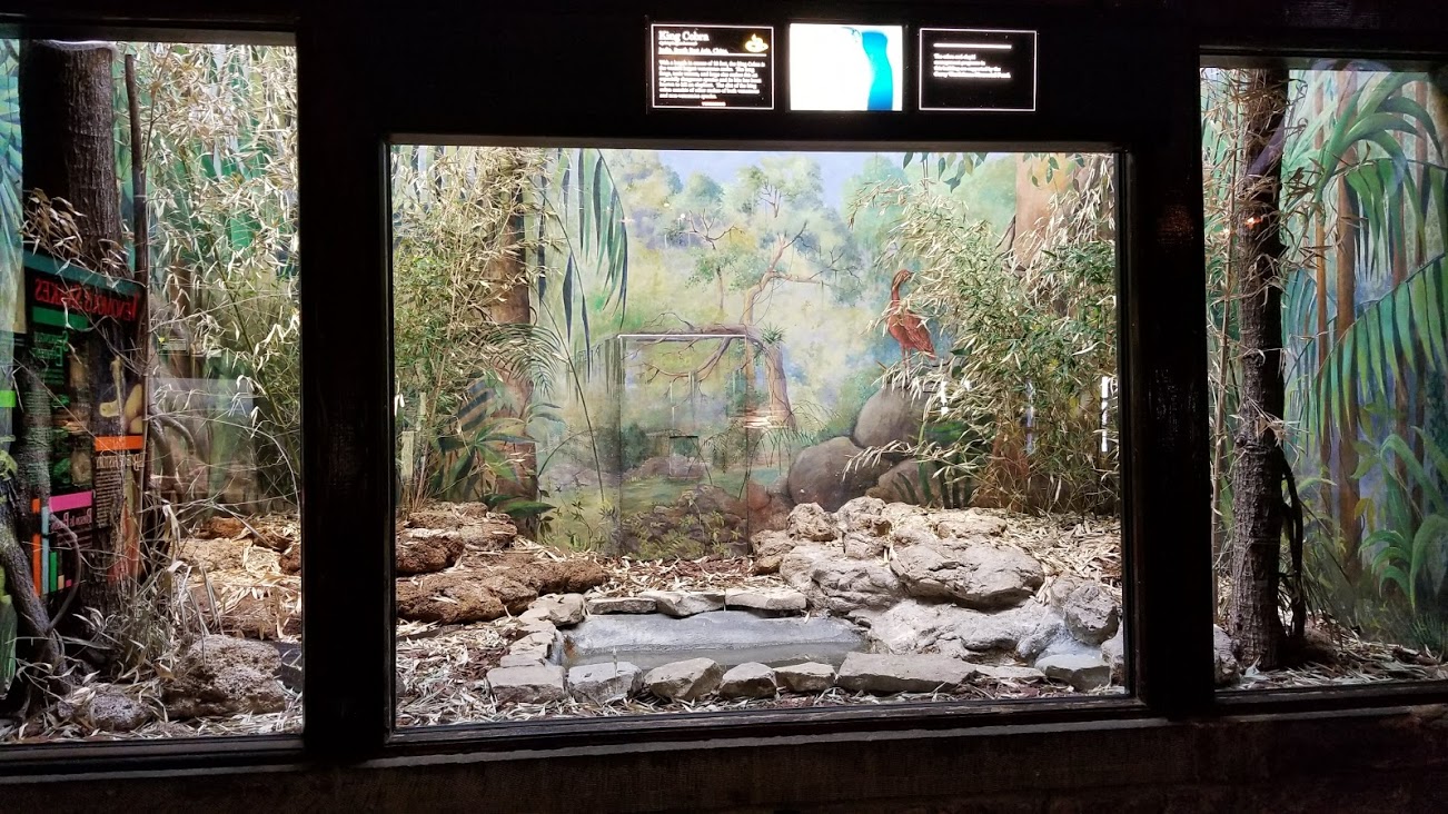 Mar. 2018 - Reptile House - King Cobra Exhibit