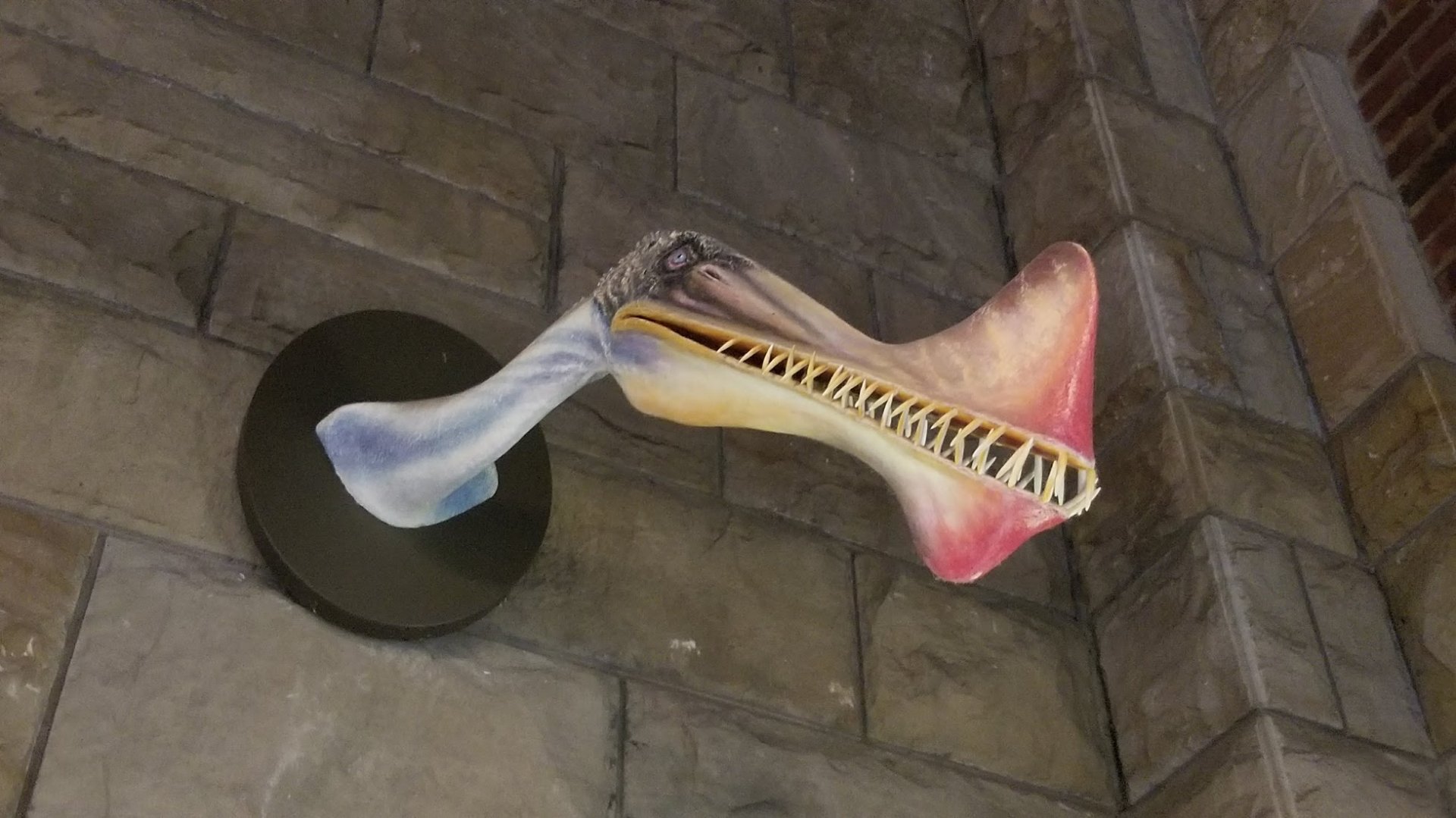 Mar. 2018 - Reptile House - Pteranodon Ingens