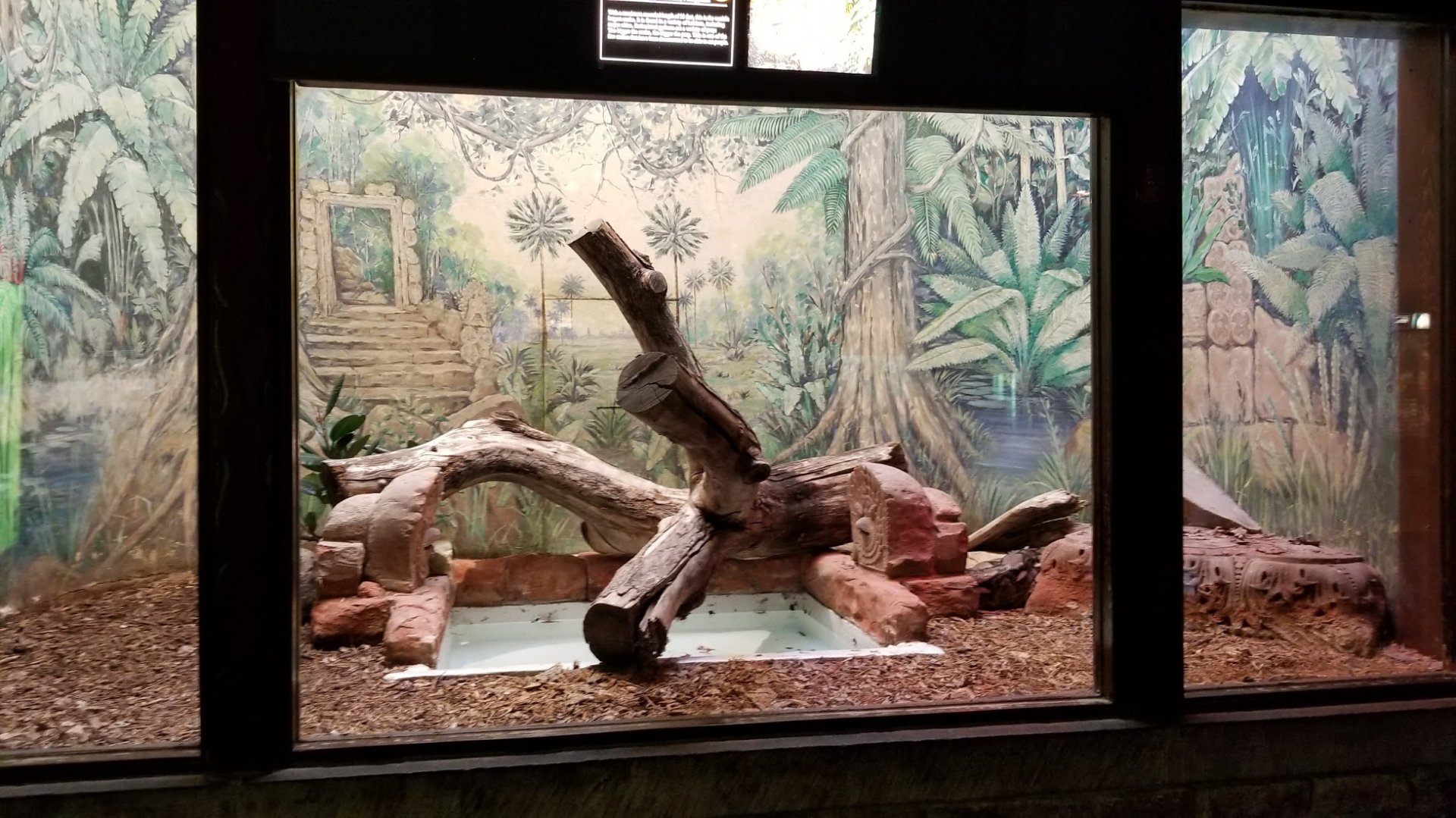 Mar. 2018 - Reptile House - Reticulated Python Exhibit