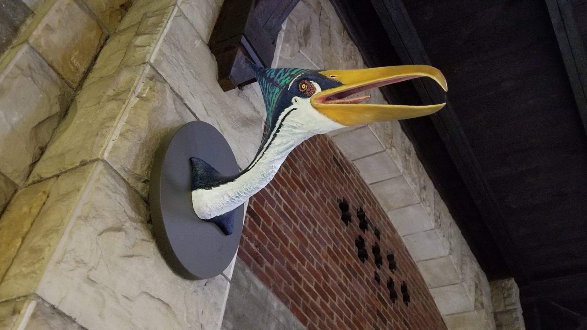 Mar. 2018 - Reptile House - Tropeognathus Mesembrinus