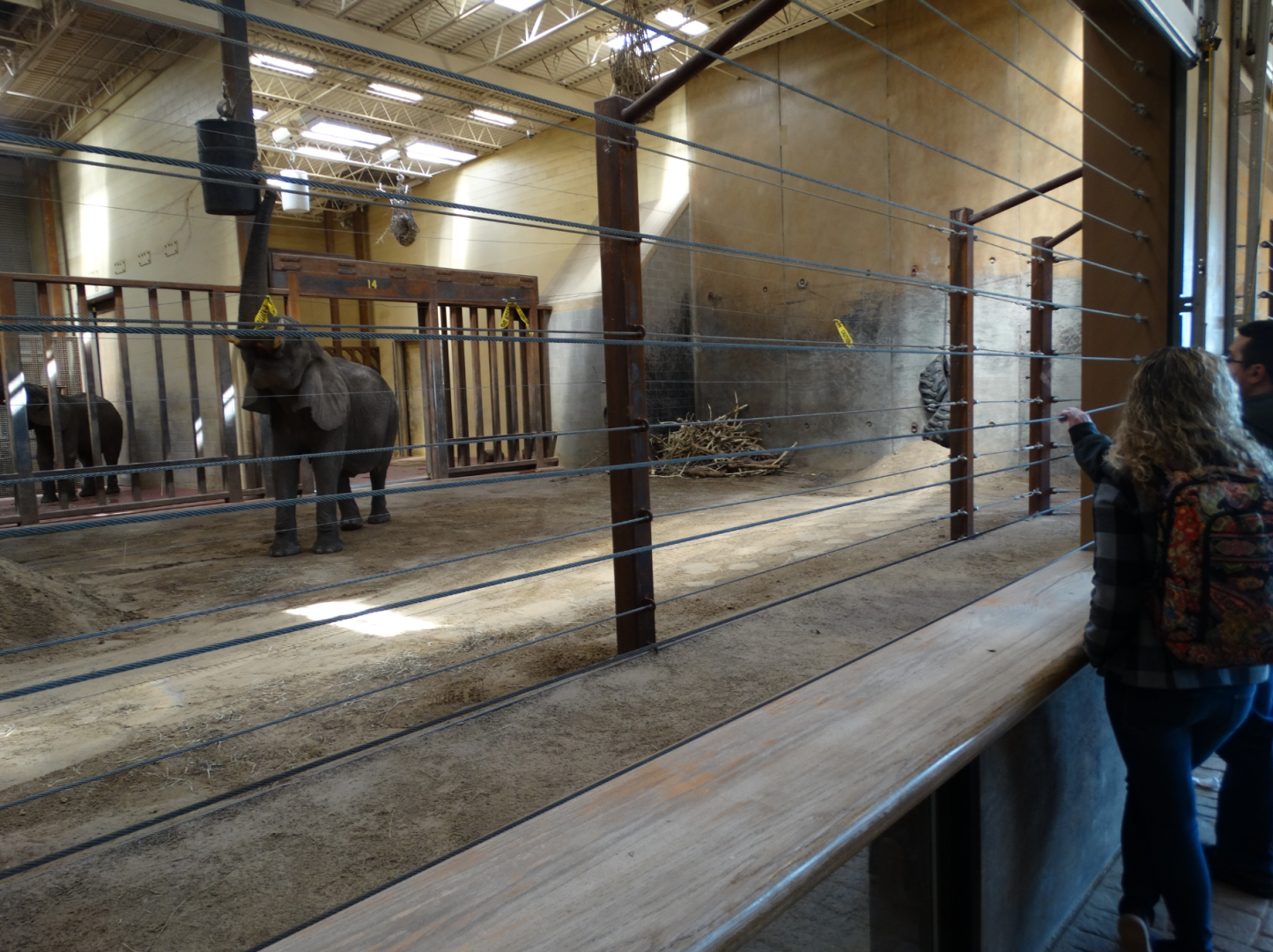 Mar. 2018 - Tembo Trail - Indoor Elephant Exhibit