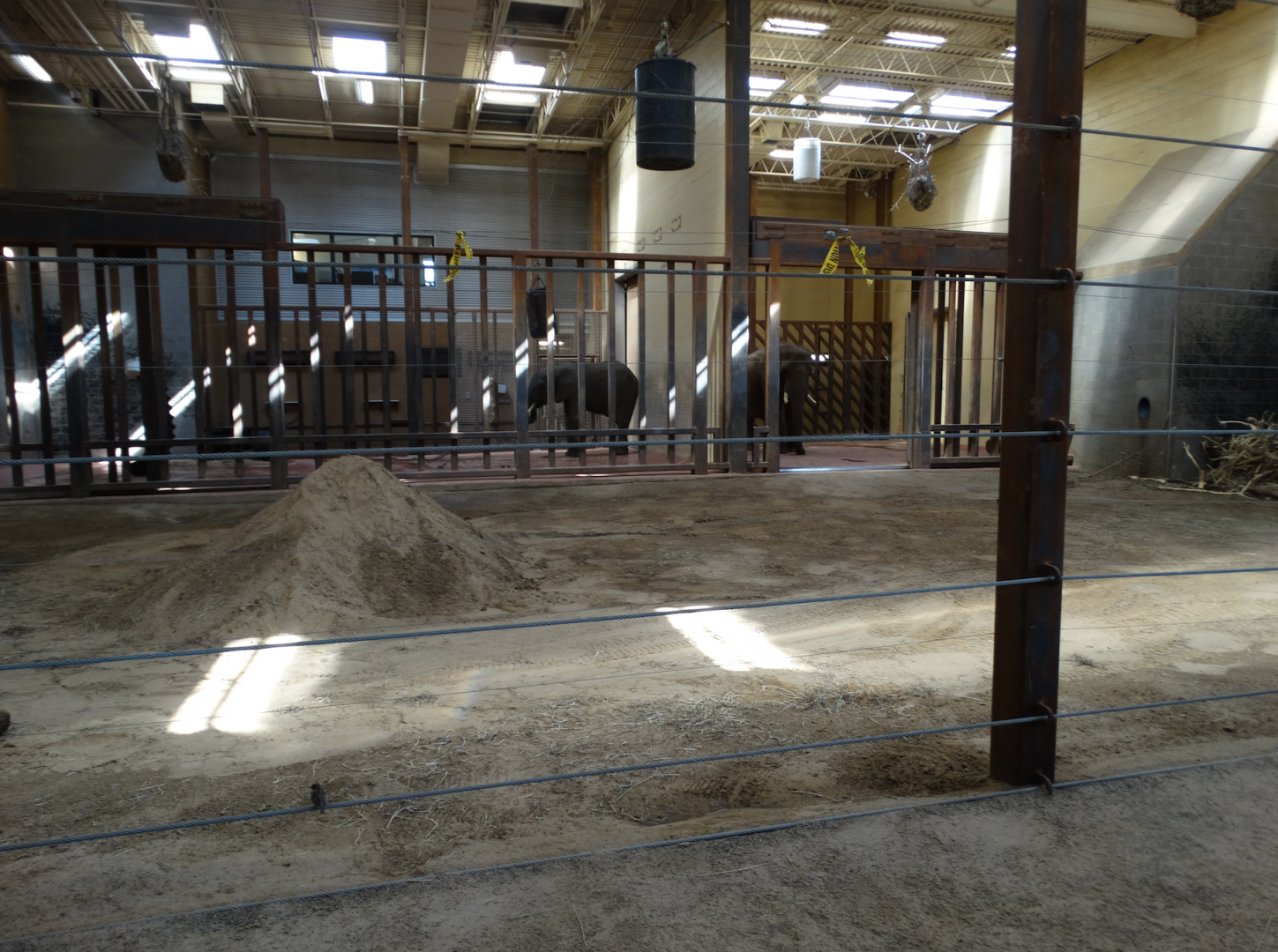 Mar. 2018 - Tembo Trail - Indoor Elephant Exhibit