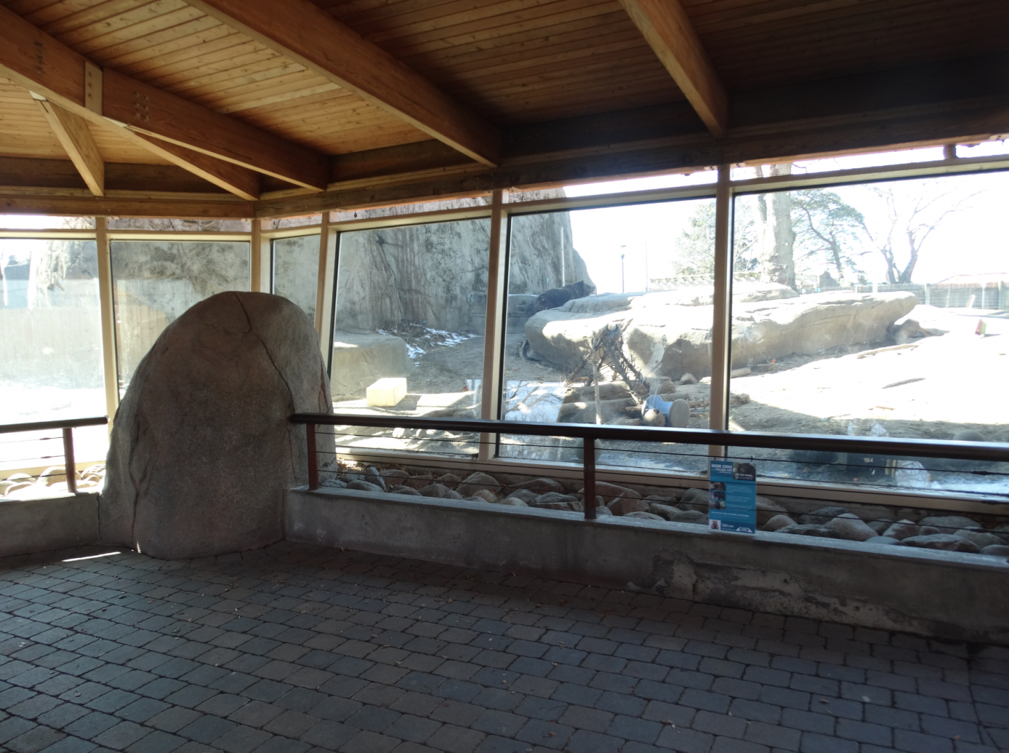 Mar. 2018 - Tembo Trail - Kodiak/Grizzly Bear Exhibit