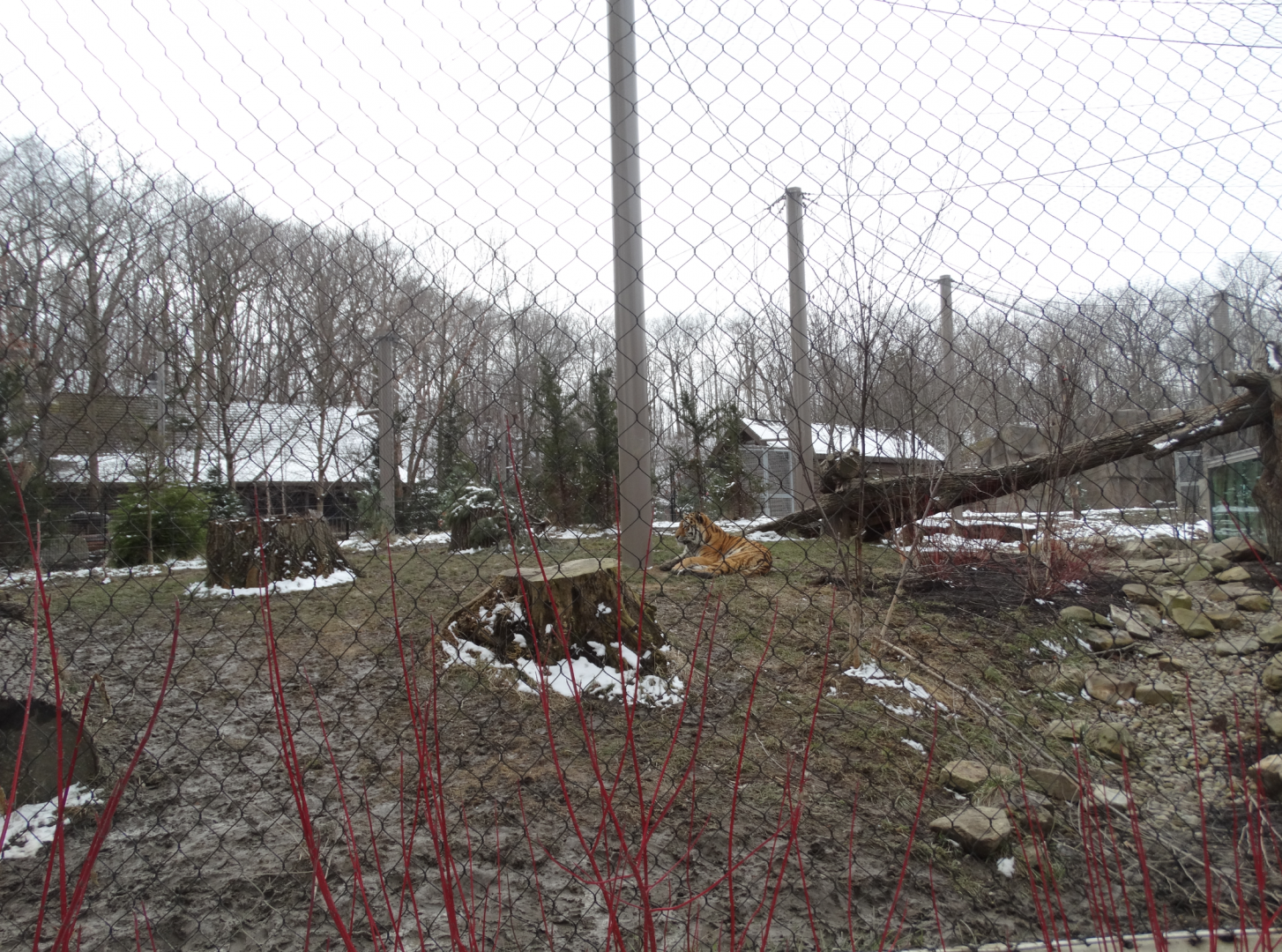 Mar. 2018 - Tiger Passage - River Habitat