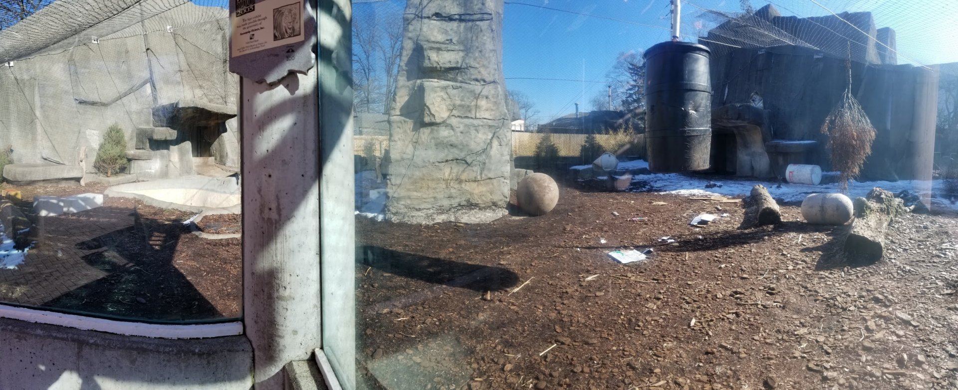 Mar. 2018 - Tiger Terrace - Amur Tiger Exhibit Panorama